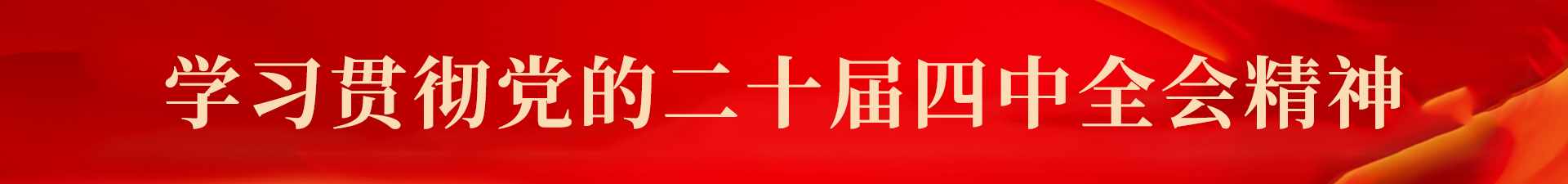 学习贯彻党的二十届四中全会精神